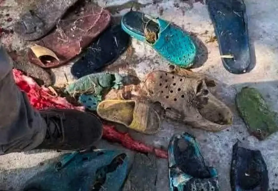 Vídeo: polícia encontra restos humanos em crocodilo na África do Sul Necropsia revelou membros, fragmentos do tórax e um anel