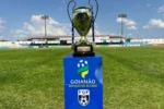 Troféu da Divisão de Acesso do Goianão