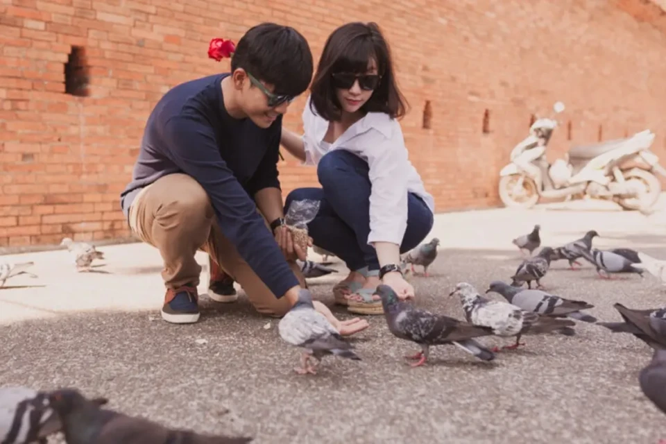 Aves urbanas têm mais medo de mulheres que homens, diz estudo Pesquisa indicou que pássaros toleram maior proximidade do sexo masculino
