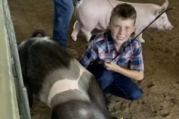 Vizinhos são presos após matar e comer porca de terapia de garoto com autismo Menino com TDAH cuidava do animal
