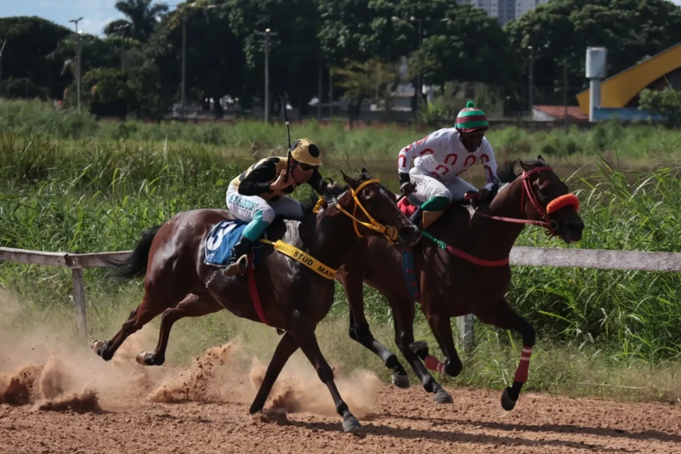 corrida de cavalos turf