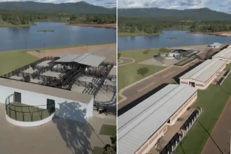 Helicóptero cai perto de fazenda da dupla Henrique e Juliano, no Tocantins (Foto: Reprodução)