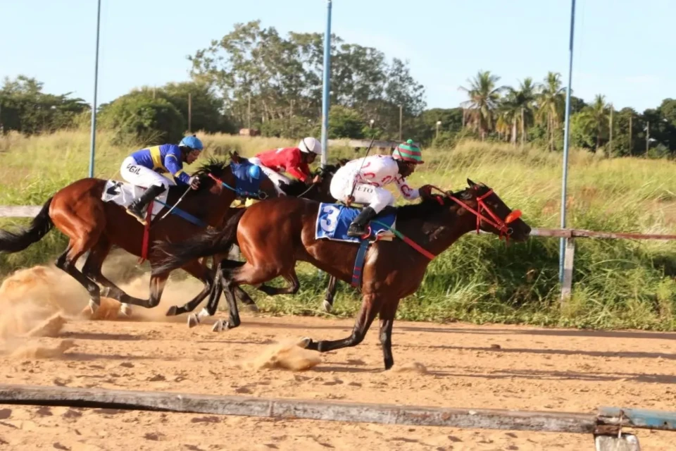 Corrida no Hipódromo da Lagoinha