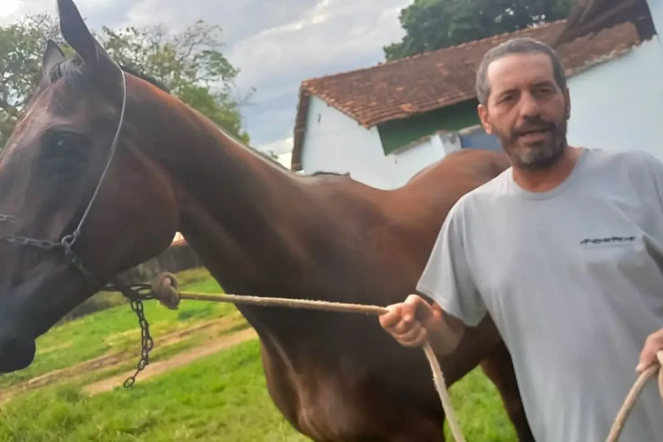 Brandão e Tigresa turfe
