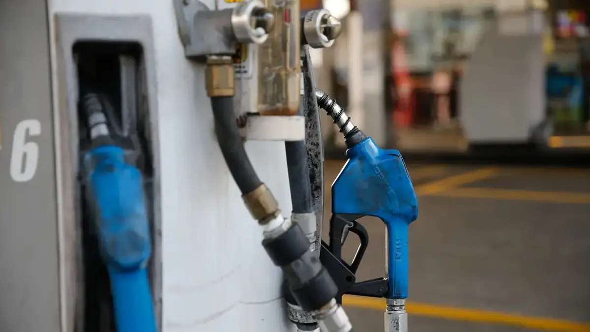 diesel fernando frazão