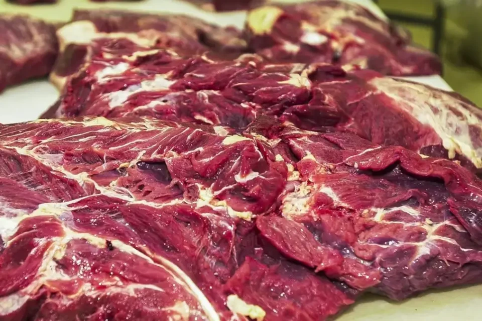 UE veta importação de carne bovina do Brasil a partir de setembro