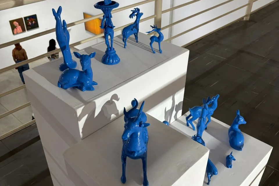 WhatsApp Image 2026-05-13 at 11.39.00