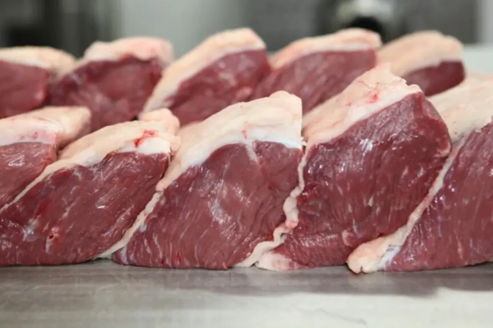 seapa carne