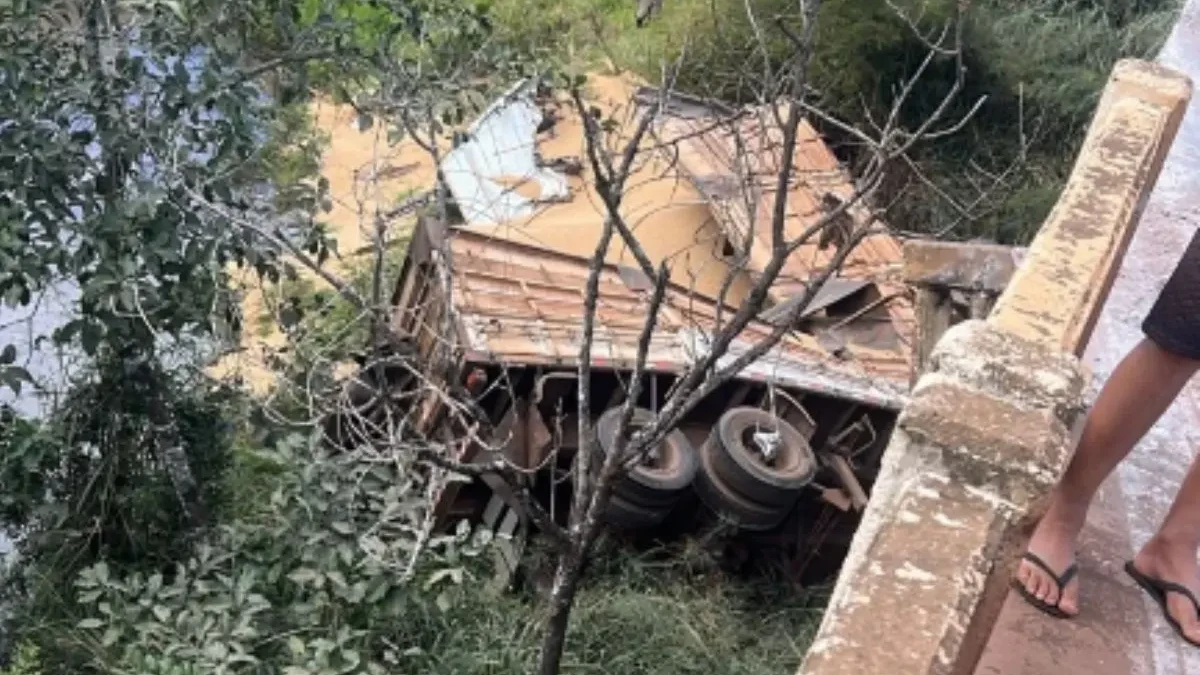 Motorista morre após caminhão cair de ponte na BR-364, em Mineiros (Foto: Bombeiros)