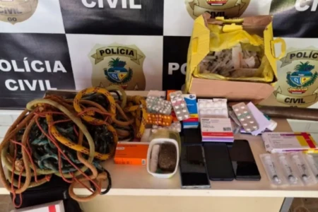 Imagem das apreensões