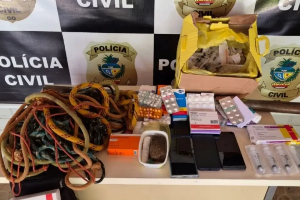 Imagem das apreensões