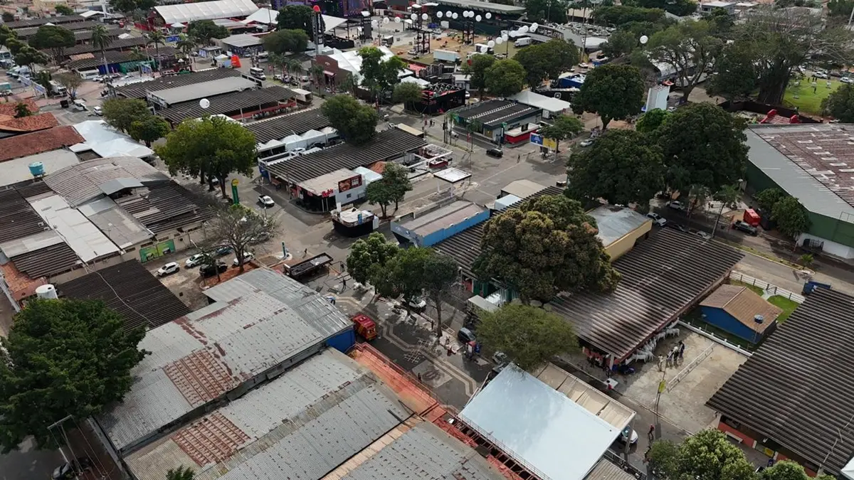 pecuária 1