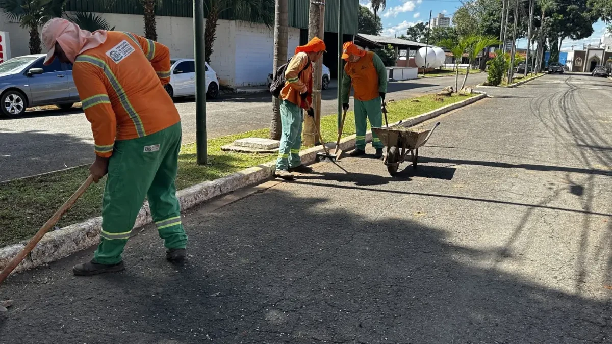 comurg x pecuária