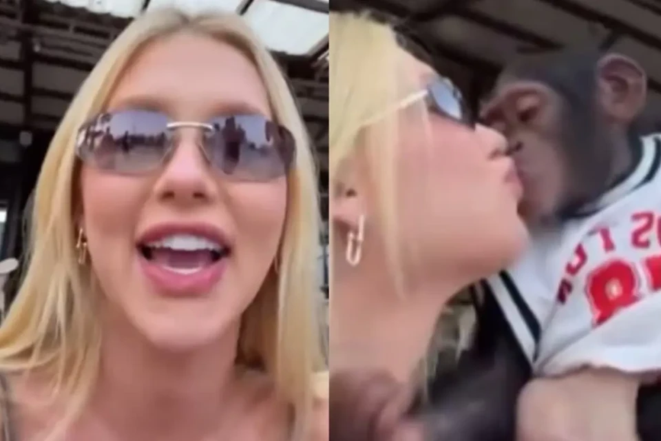 Vídeo de Virginia beijando macaco acende alerta sobre transmissão de doenças riscos graves em contato direto entre humanos e primatas
