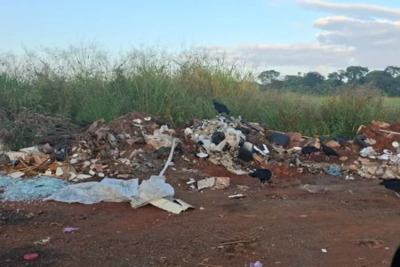 'Urubus tomaram conta': moradores denunciam descarte irregular de lixo no setor Recreio dos Funcionários Públicos