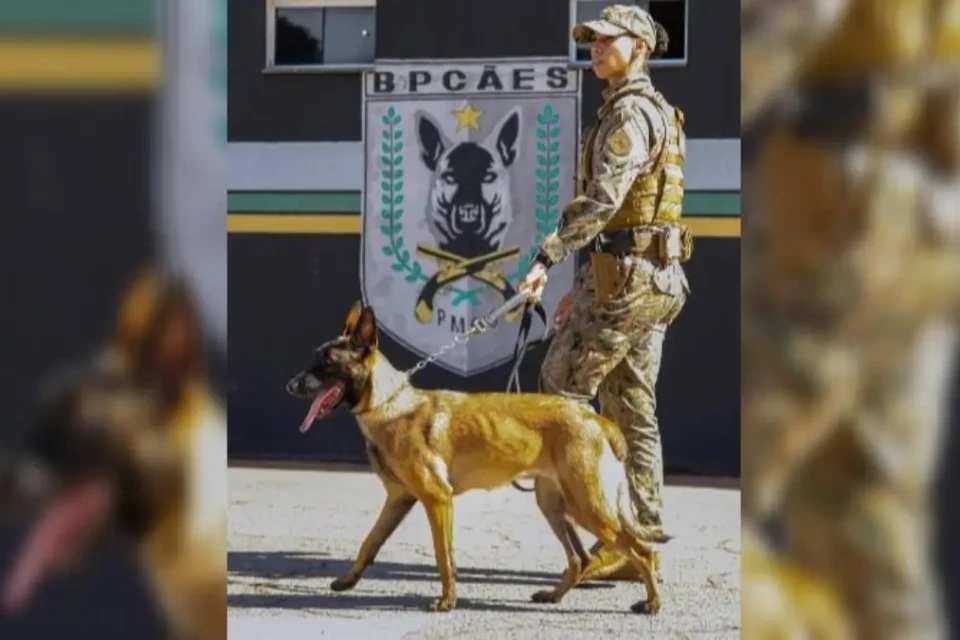 Policial caminhando com cão treinado - (Foto: reprodução/instagram)