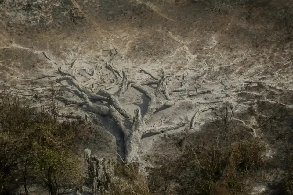 Mudanças climáticas já afetam 85% dos brasileiros, diz pesquisa