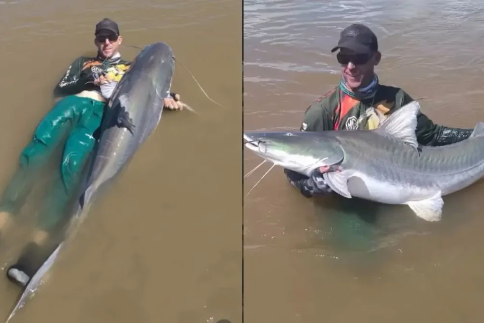 Pescador pega 'tubarão de água doce' de quase 2 m no Araguaia
