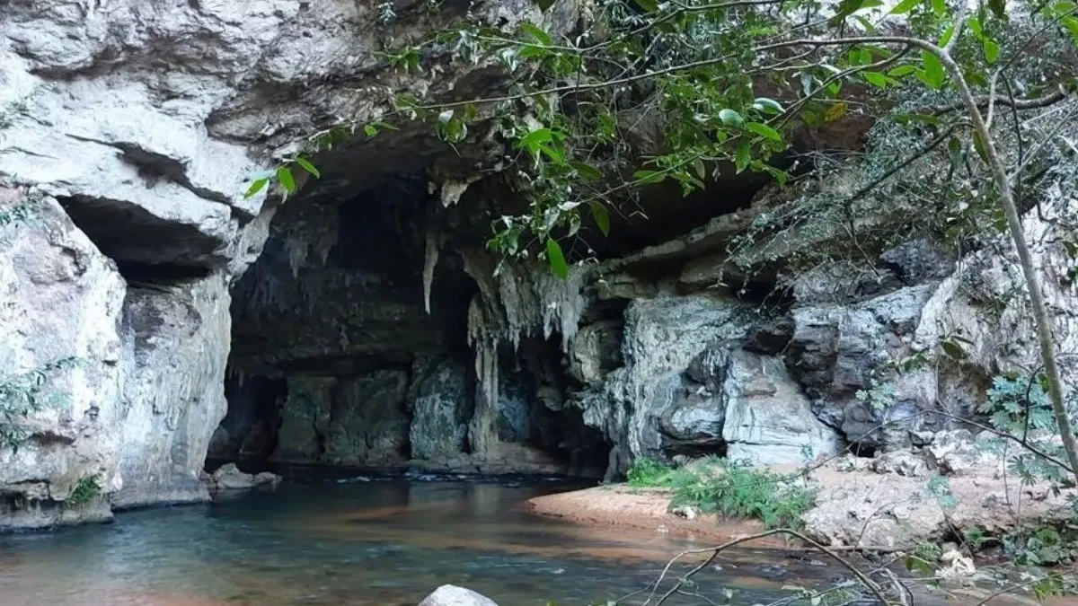 Semad adquire fazendas que dão acesso à 5ª maior caverna do Brasil, em Goiás (Foto: Divulgação)