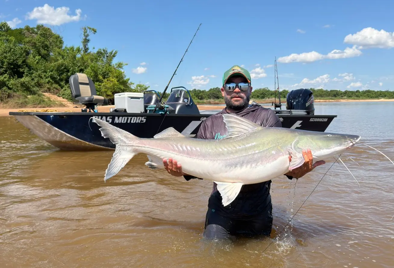 Piraíba de 2,02 metros é capturada e solta pelo guia de pesca Jefferson Peixoto no rio Araguaia