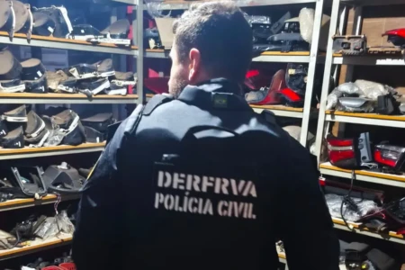 Policial cumprindo mandado - (Foto: reprodução/PCGO)