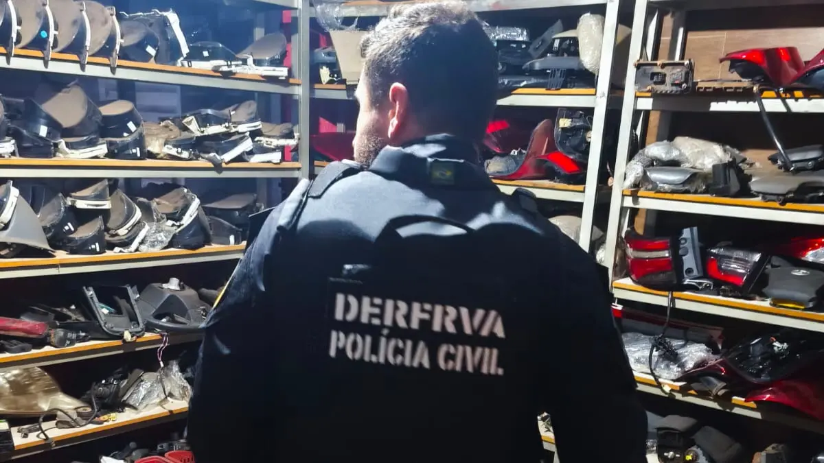 Policial cumprindo mandado - (Foto: reprodução/PCGO)