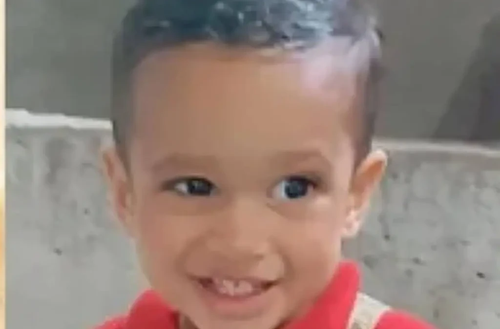 Bebê de 1 ano e 9 meses morre após ser atingido por linha de cerol em BH Ravi Oliveira Dias brincava na rua quando foi atingido no pescoço