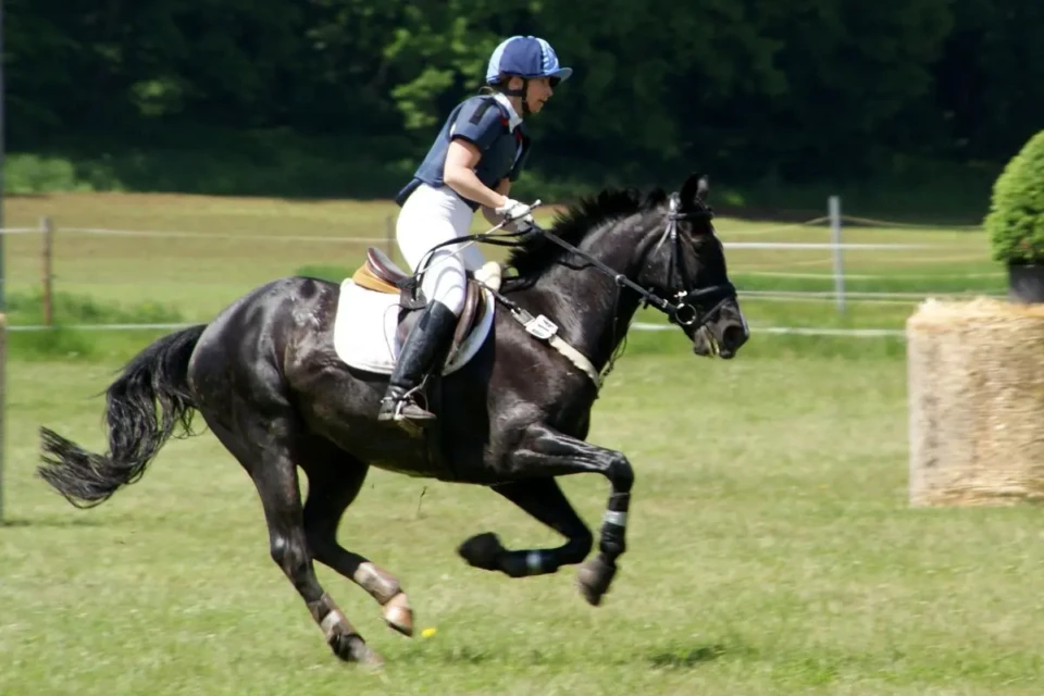 krimifreundin-horse-riding-201702