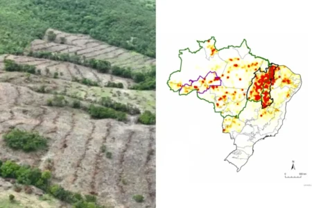 Mapa de calor do desmatamento mostra Goiás em contraste com vizinhos (Foto: Reprodução)