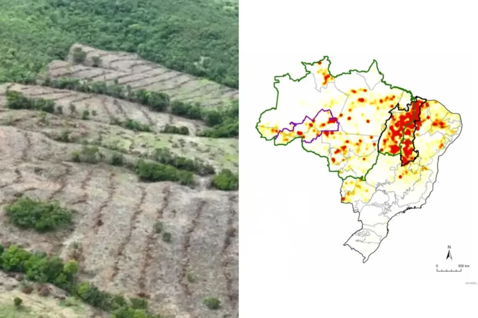 Mapa de calor do desmatamento mostra Goiás em contraste com vizinhos (Foto: Reprodução)