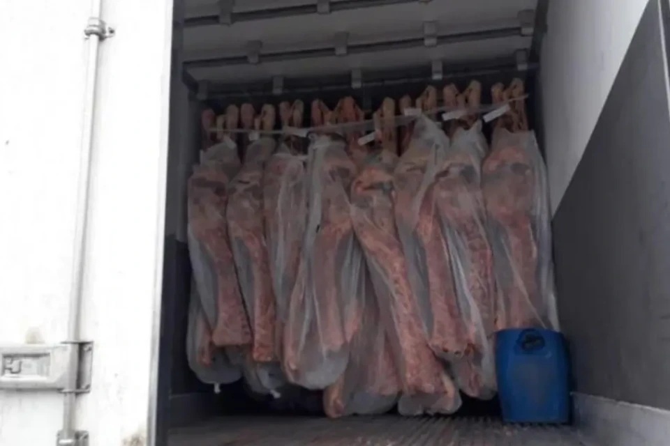 Cocaína estava escondida em carga de carne - (Foto: reprodução)