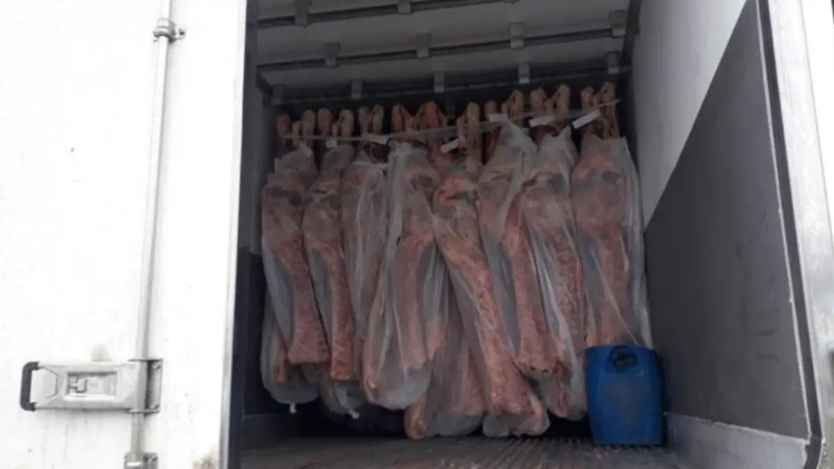 Cocaína estava escondida em carga de carne - (Foto: reprodução)
