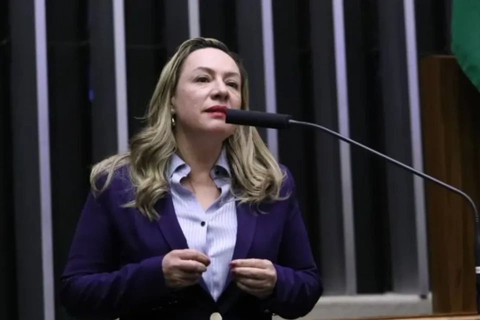 Imagem mostra deputada federal Adriana Accorsi