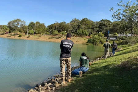 Profissionais vasculhando lago - (Foto: reprodução/Corpo de Bombeiros)