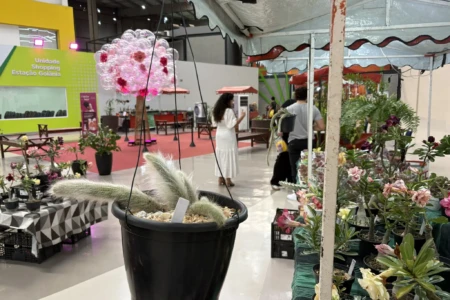 Feira de plantas em Goiânia aposta em presentes vivos para o Dia dos Namorados