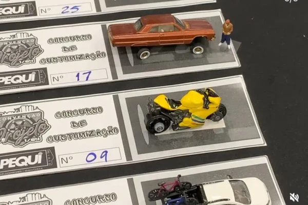 Encontro de colecionadores reúne miniaturas e competição de customização em Goiânia
