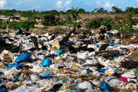 Imagem do local em 2024