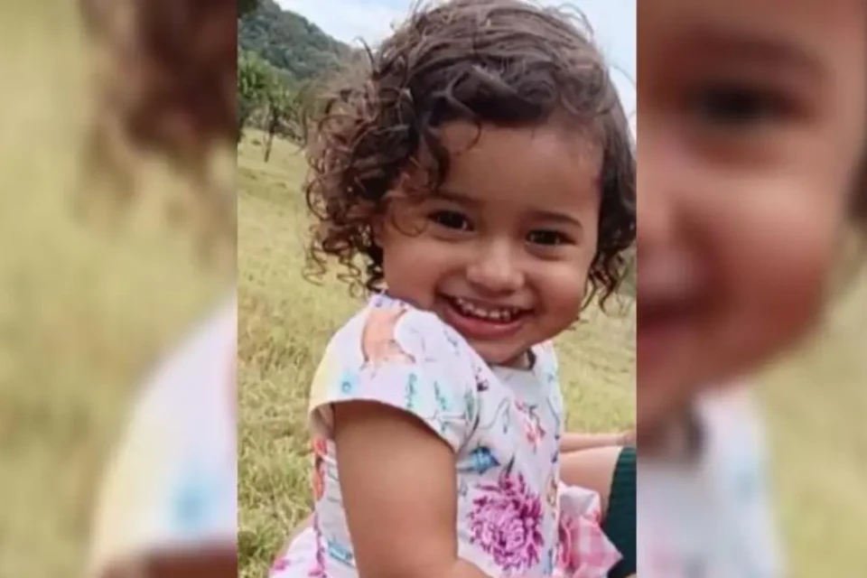Maria Fernanda Cândido da Rocha, de 2 anos - (Foto: reprodução)