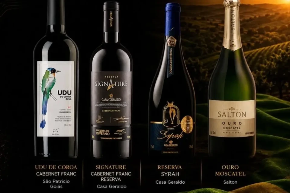 Vinho de Goiás ganha ouro em concurso com 17 mil rótulos de 58 países; conheça