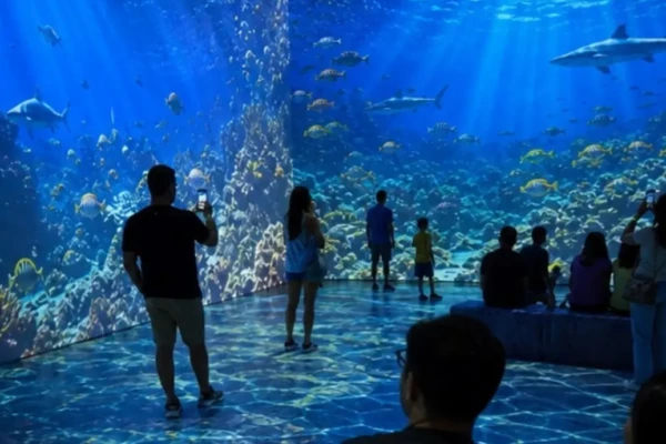 Exposição imersiva sobre os oceanos chega a Goiânia; saiba local e ingressos