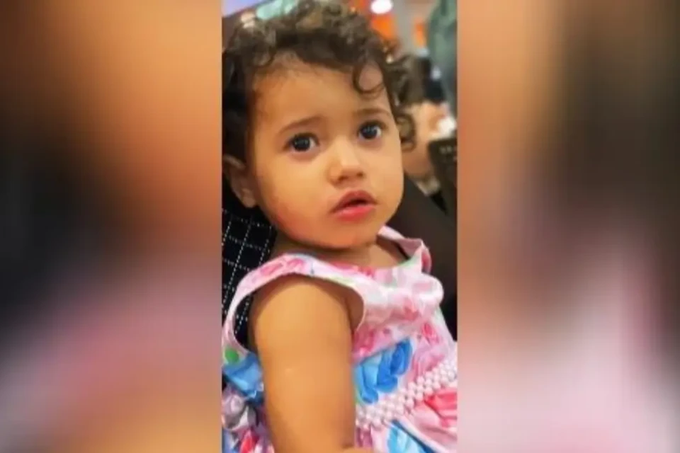 Maria Fernanda Cândido da Rocha, de 2 anos - (Foto: reprodução)