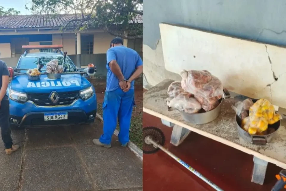 Frango e pequi furtados pela dupla - (Foto: reprodução/PM)