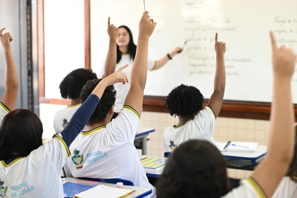 Educação (3)