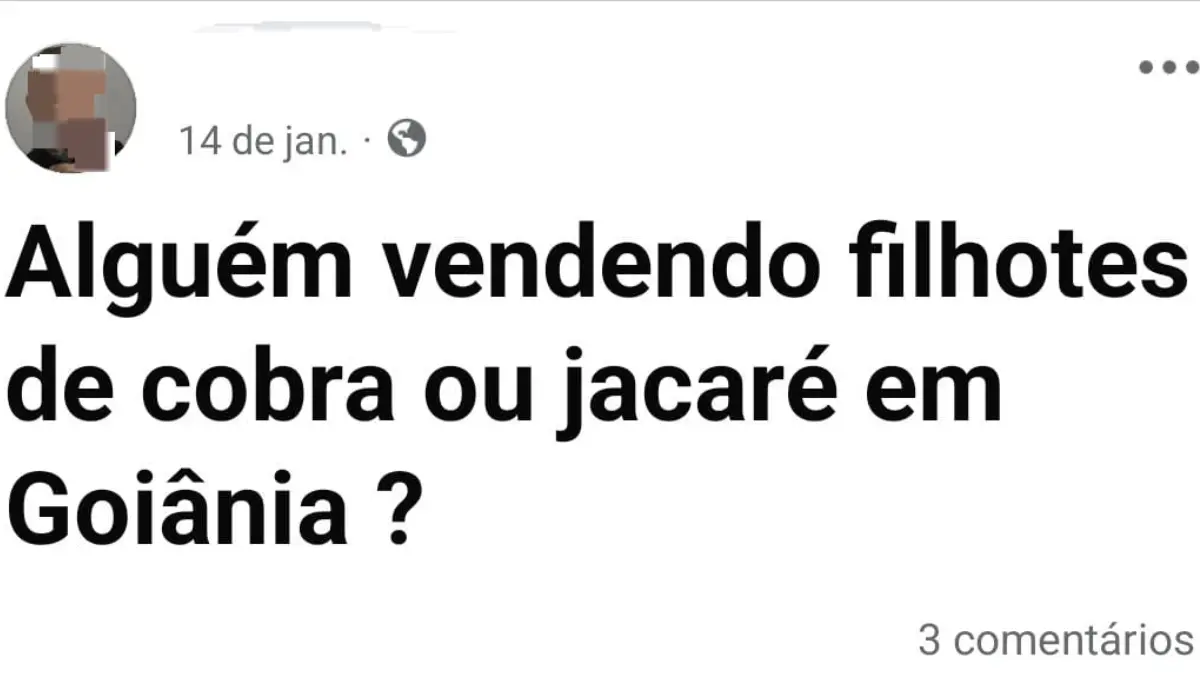 Tráfico de animais silvestres no Brasil