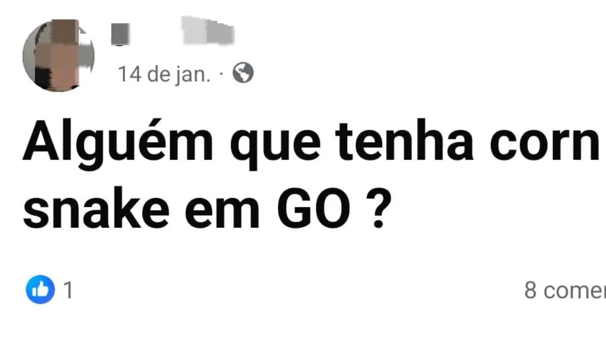 Tráfico de animais silvestres no Brasil
