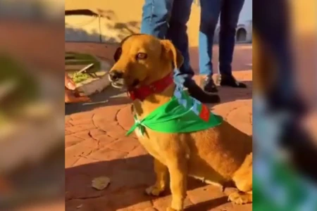 aumigos do pai eterno