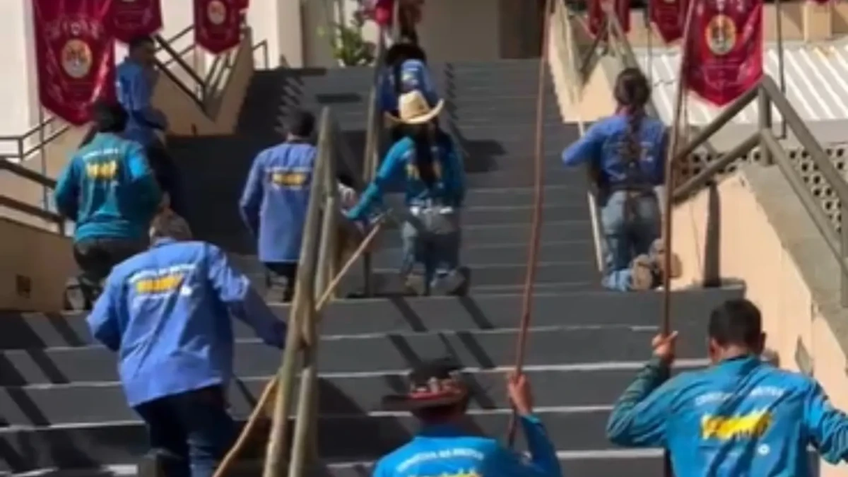 Após sete dias de viagem, romeiros chegam de joelhos à Catedral de Trindade