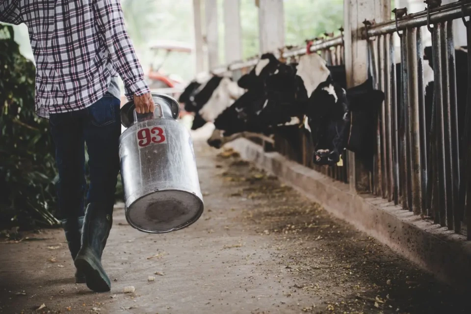 close-up-view-legs-farmer-working-with-fresh-grass-animal-barn