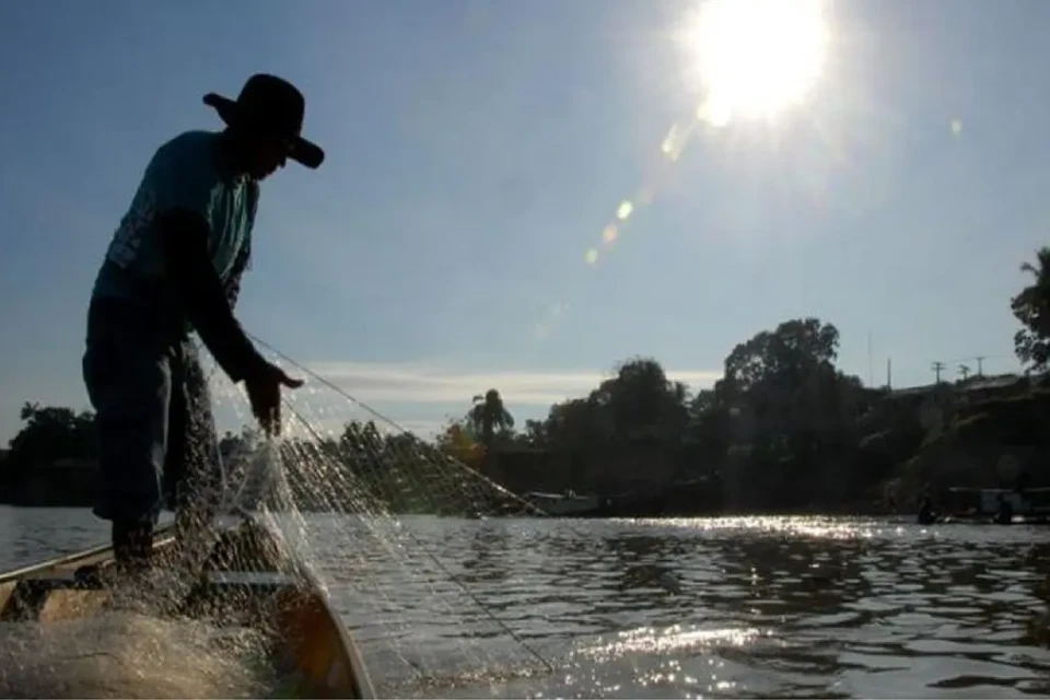 Com consumo local abaixo da média, Goiânia recebe Conferência Estadual de Aquicultura e Pesca