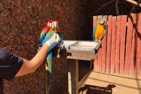Animais do Zoológico de Goiânia recebem cuidados especiais durante mudanças de temperatura